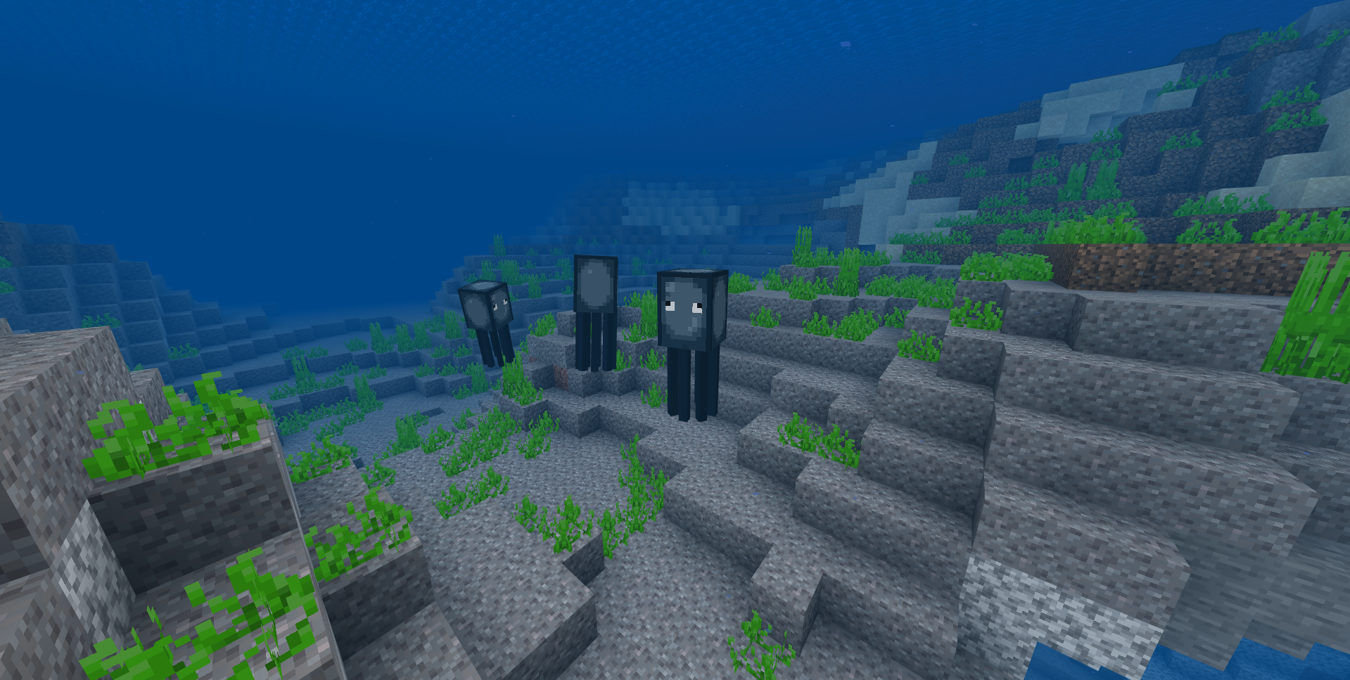 An image from the squid remodeled project